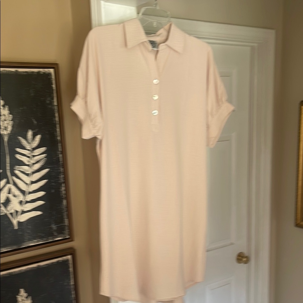 Ivy Jane Blush Button Down Shirt Dress - Picture 3 of 3